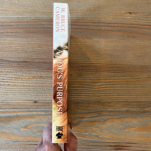 A DOG'S PURPOSE - Picture 4 of 4